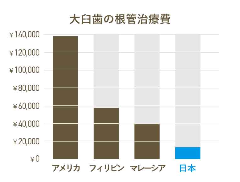 大臼歯の根管治療費